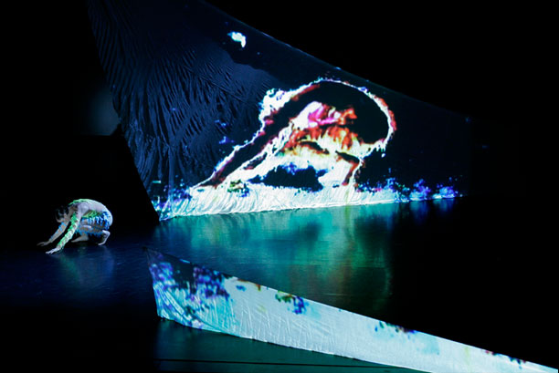 HaywireRollUpMainBody